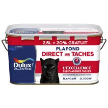 Peinture Blanche Intérieur Plafond Direct Sur Taches Dulux Valentine Mat Blanc 2,5 L + 20%
