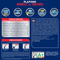 Peinture Blanche Intérieur Plafond Direct Sur Taches Dulux Valentine Mat Blanc 2,5 L + 20%