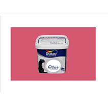 Crème de Couleur Satin Rose Malice 0,5l 