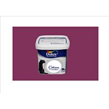 Peinture Crème de Cassis 2L5 - DULUX VALENTINE