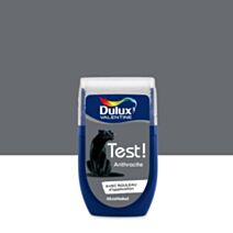 Testeur de Peinture Crème de Couleur Anthracite 30ml - DULUX VALENTINE