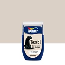 Testeur de Peinture Crème de Couleur Caravane des Sables 30ml - DULUX VALENTINE