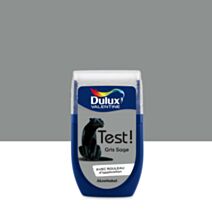 Testeur de Peinture Crème de Couleur Gris Sage 30ml - DULUX VALENTINE