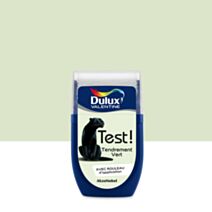 Testeur de Peinture Crème de Couleur Tendrement Vert 30ml - DULUX VALENTINE