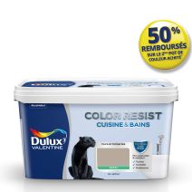 Peinture Pièces Humides Color Resist Cuisine & Bains Gazelle Satin 2L - DULUX VALENTINE