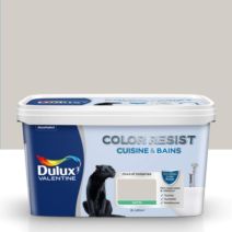 Peinture Pièces Humides Color Resist Cuisine & Bains Galet Satin 2L - DULUX VALENTINE
