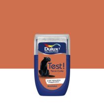 Testeur de Peinture Crème de Couleur Terre Cuite 30ml - DULUX VALENTINE