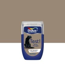 Testeur de Peinture Crème de Couleur Terre d'argile 30ml - DULUX VALENTINE