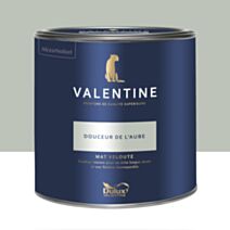 Peinture Valentine Mat Velouté Douceur de l'Aube 2L- DULUX VALENTINE