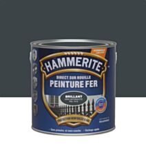 Peinture fer direct rouille brillant gris anthracite 2,5L - HAMMERITE