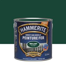 Peinture fer direct rouille brillant vert basque 2,5L - HAMMERITE
