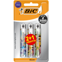  2+1 Maxi Briquets à Pierre Edition Limitée - BIC