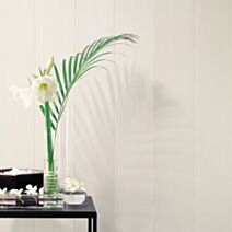 Lambris PVC Evolution 3000 blanc cérusé