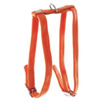 Harnais h nylon 10-35/40cm orange