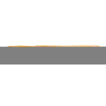 Laisse fluo fish 10/120 beige
