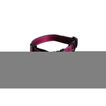 Collier nylon réglable 20/40-55 bordeau