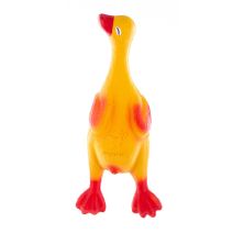 Canard latex pm