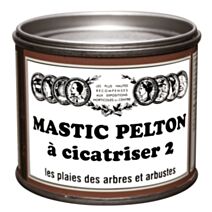 cicatrisant mastic 400g