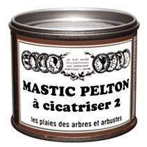 cicatrisant mastic 400g