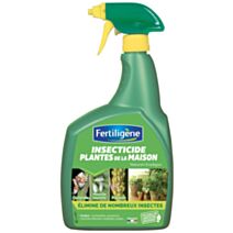 Insecticide pour plantes de la maison