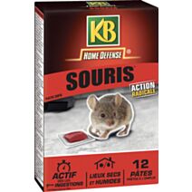 souris pates 120g