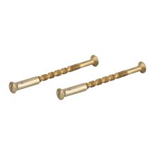 Vis secable x2 m4x50 laitonnée