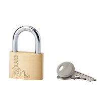 Cadenas type 1 50 anse acier 2 clés