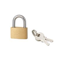 Cadenas + 2 Clés Basic Anse Acier 25mm - 1ER