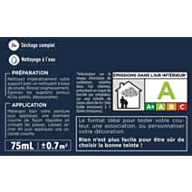 Testeur peinture Rénovation Multisupport rouge caprice satin 75 ml - V33