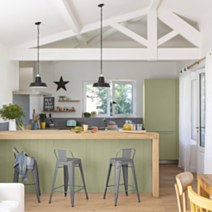 Peinture Rénovation Multisupport vert mousse satin 0,5L - V33