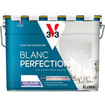 Peinture blanc perfection 5L