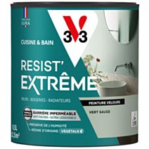Peinture Cuisine & Bain Resist Extrême vert sauge velours 0,5L - V33