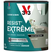 Peinture Cuisine & Bain Resist Extrême kaki fumé velours 0,5L - V33