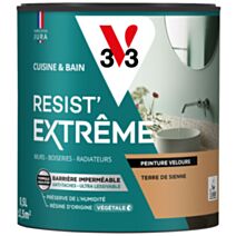 Peinture Cuisine & Bain Resist Extrême terre de sienne velours 0,5L - V33