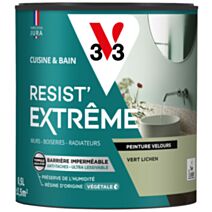 Peinture Cuisine & Bain Resist Extrême Vert lichen velours 0,5L - V33