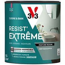 Peinture Cuisine & Bain Resist Extrême Extrême eucalyptus velours 0,5L vert - V33