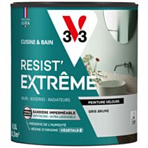 Peinture Cuisine & Bain Resist Extrême gris brume velours 0,5L - V33