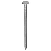 Pointe tp extra large galva 3x30 500gr