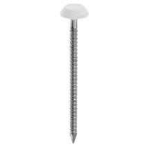 Pointe annelee tête plastique blanc inox a4 2,5x50 100