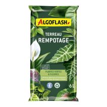 Terreau rempotage plantes vertes/fleuries 6L - ALGOFLASH