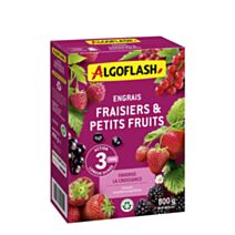 Engrais Fraises et Petits Fruits Action prolongée 800gr - ALGOFLASH