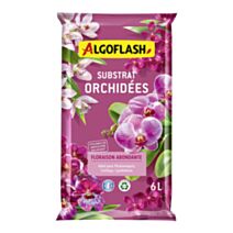 Terreau Orchidées 6L - ALGOFLASH