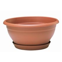 Coupe Lotus Ø25,4cm soucoupe clipsée terre cuite