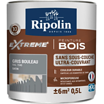 Peinture Protection eXtreme bois 0,5L gris bouleau