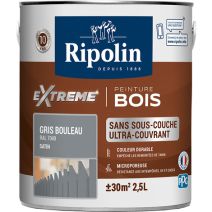 Peinture Protection eXtreme bois 2,5L gris bouleau