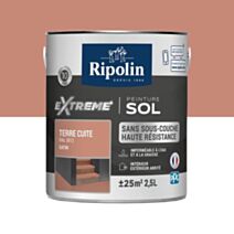 Peinture Protection eXtreme sol 2,5L sol terre cuite