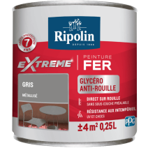 Peinture Extrême fer 0,25L mat gris métal RIPOLIN