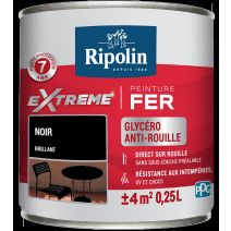 Peinture Extrême fer 0,25L brillant noir RIPOLIN