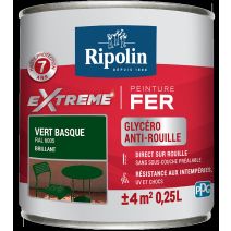 Peinture Extrême fer 0,25L brillant vert basque RIPOLIN