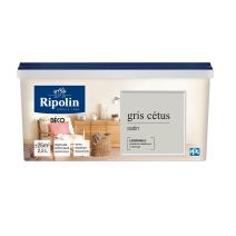 Esprit Deco multisupport Gris Cetus Satin 2,5L RIPOLIN